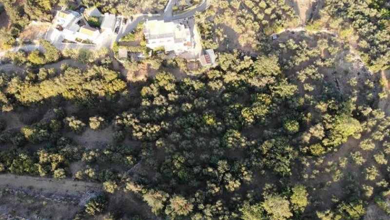 Ag. Pavlos bei Gavalochori Kreta, Ag. Pavlos: Malerisches Grundstück in der Nähe von Gavalochori zum Verkauf Grundstück kaufen